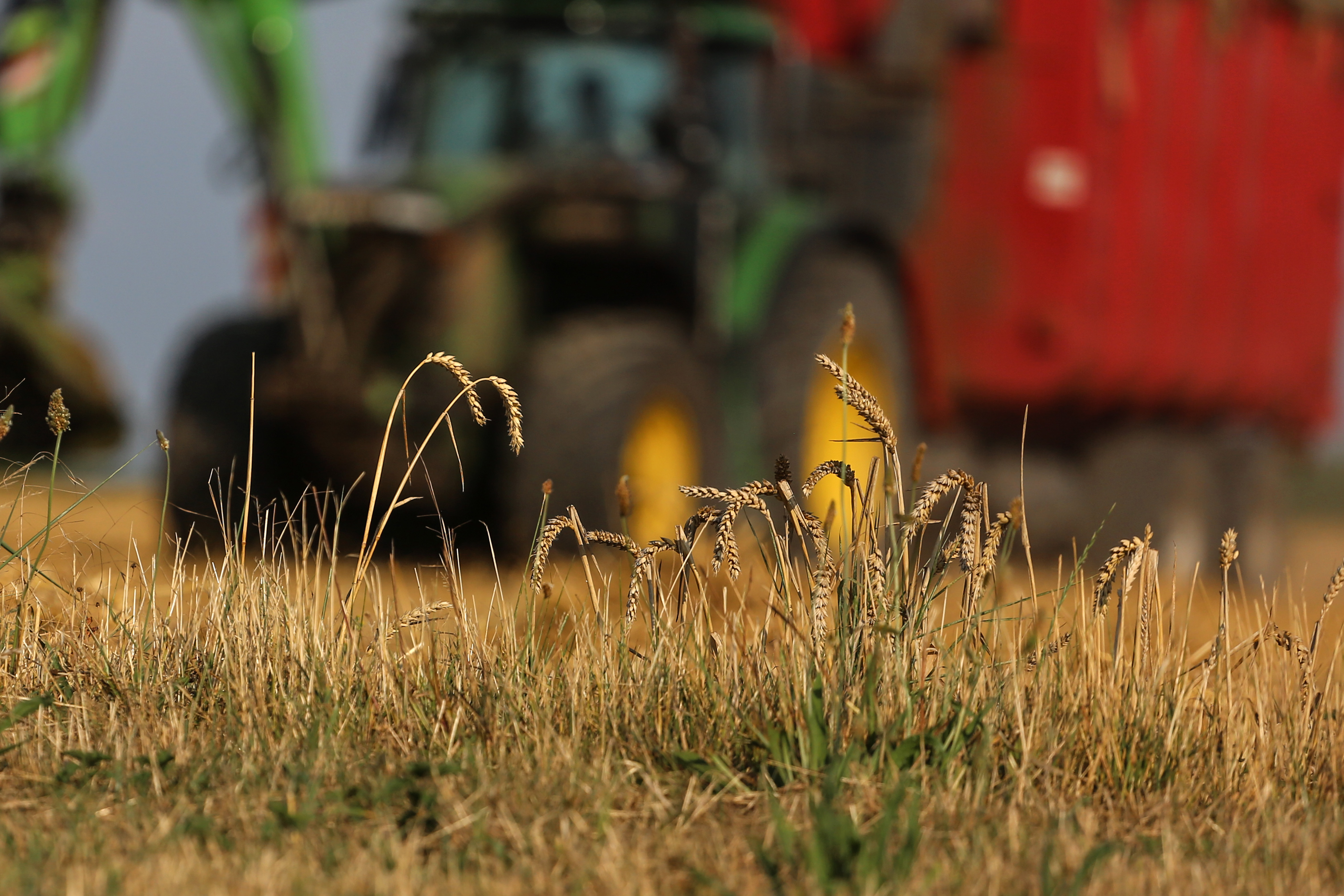 Assurance agricole: à l’épreuve des changements climatiques